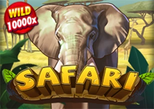 AFB : Safari - QUEENBET138